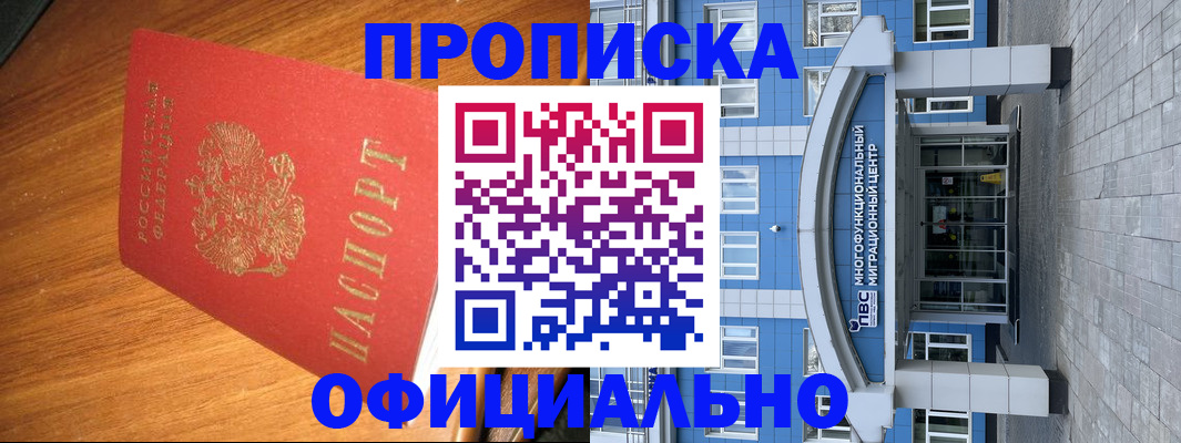 временная регистрация для школы в Жуковском